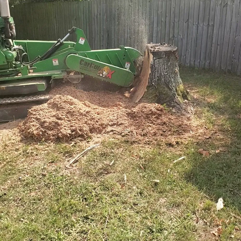 Professional landscape design experts serving Macon, GA - Middle Georgia Stump Grinding