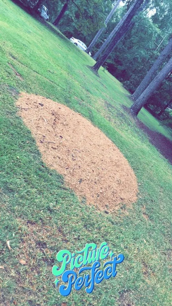 Expert landscape installation experts serving Macon, GA - Middle Georgia Stump Grinding