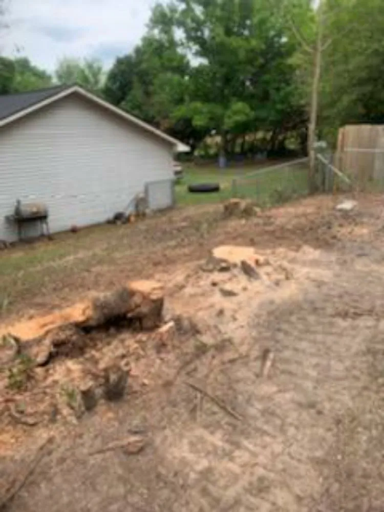 Expert landscape design in Macon, GA - Middle Georgia Stump Grinding