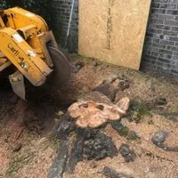 Trusted landscaping services in Macon, GA - Middle Georgia Stump Grinding