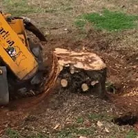 Trusted yard cleanup service for residential properties across Macon, GA - Middle Georgia Stump Grinding