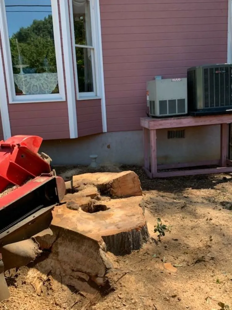 Custom yard maintenance in Macon, GA - Middle Georgia Stump Grinding