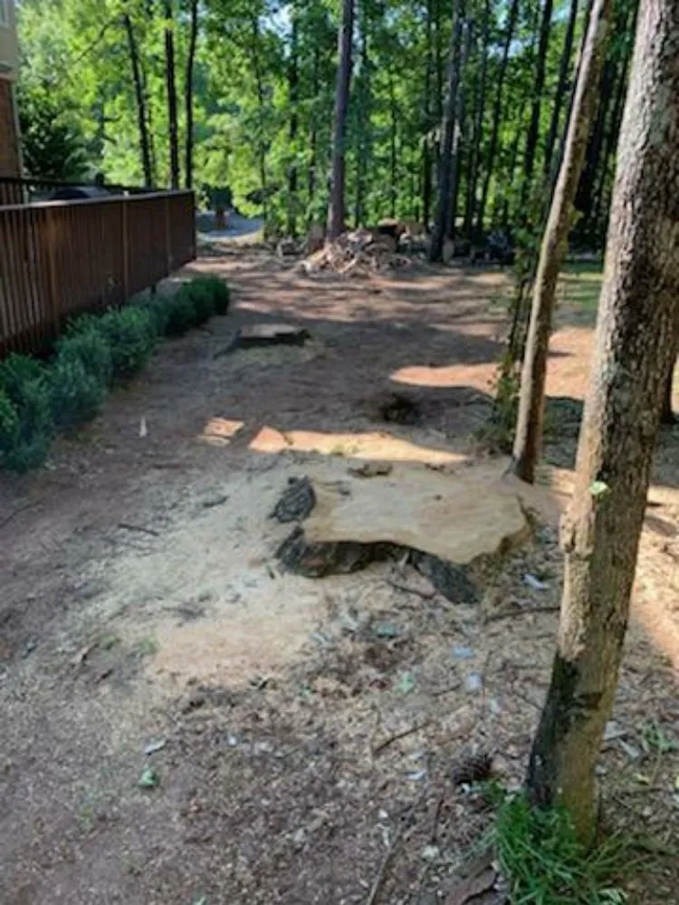 Expert outdoor landscaping for residential properties in Macon, GA by Middle Georgia Stump Grinding