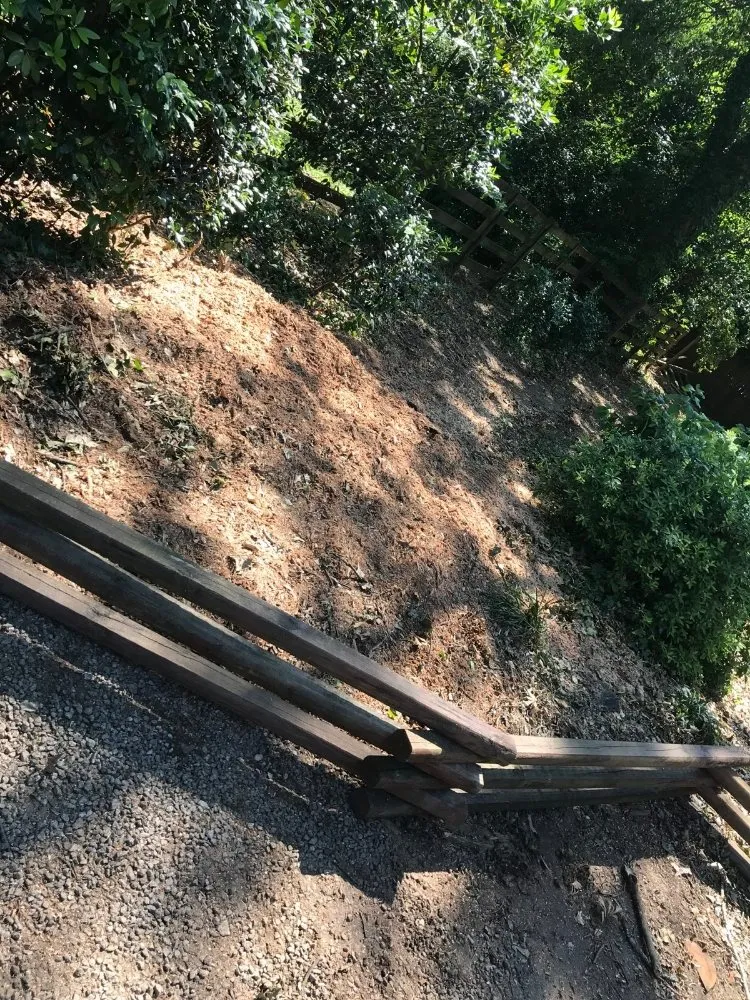 Expert lawn care service for beautiful yards in Macon, GA by Middle Georgia Stump Grinding