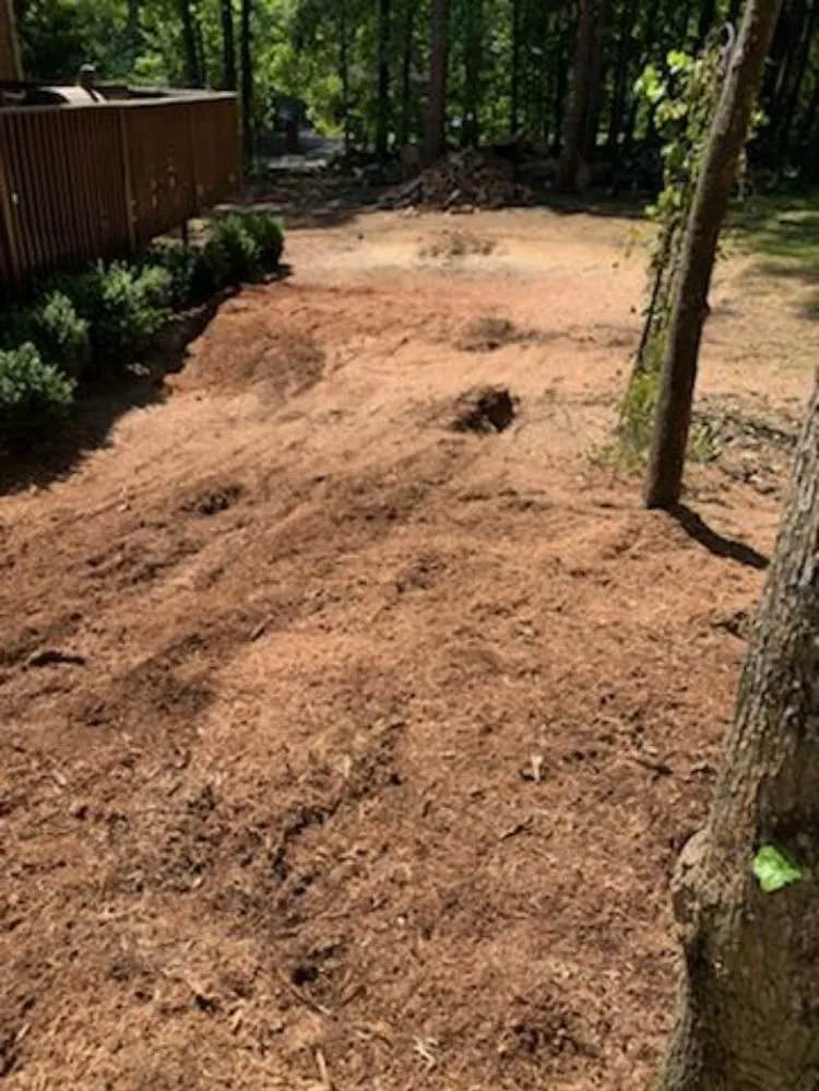 Local landscape design in Macon, GA - Middle Georgia Stump Grinding