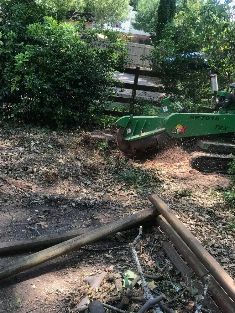 Expert landscape design in Macon, GA by Middle Georgia Stump Grinding