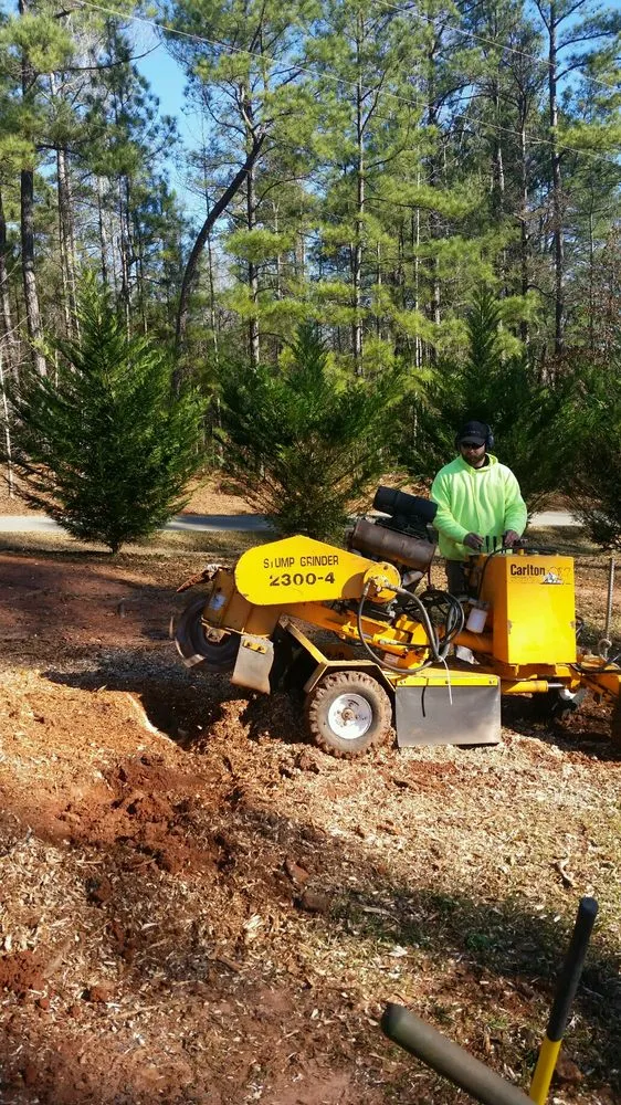 Professional landscaping services in Macon, GA - Middle Georgia Stump Grinding