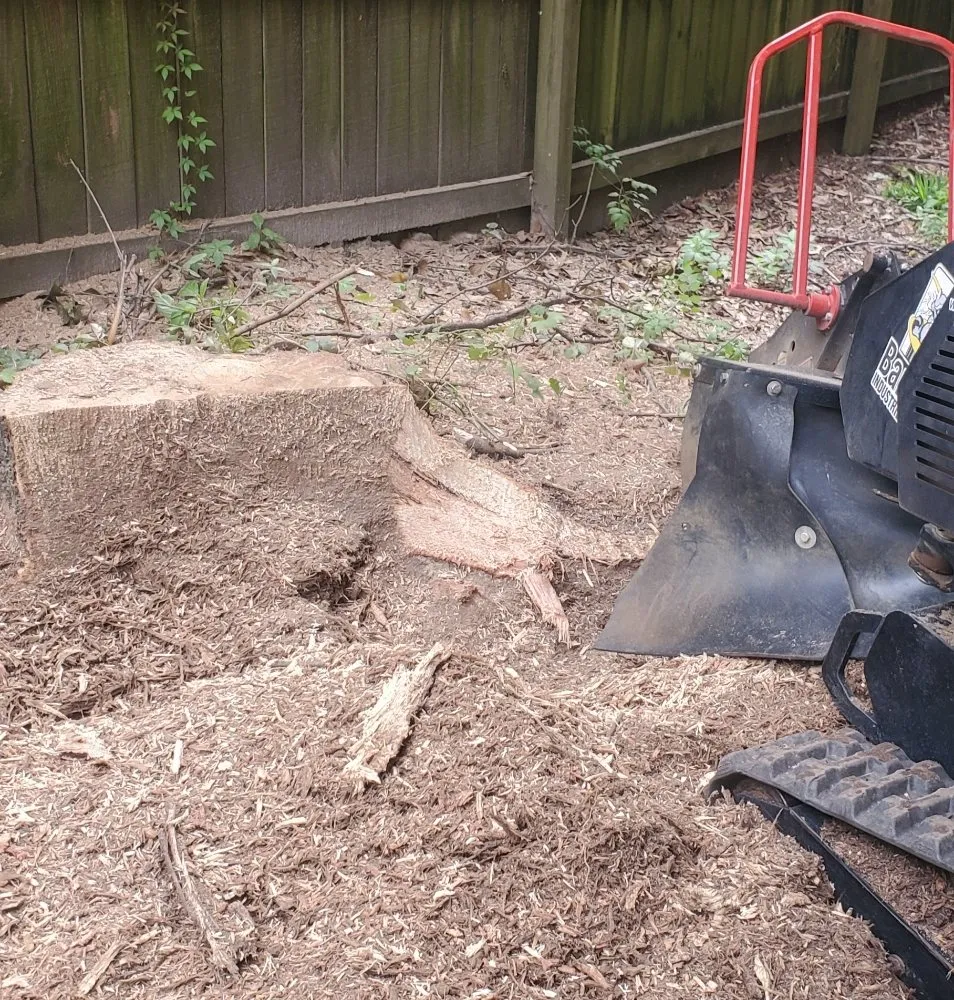 Local yard cleanup service with custom design in Macon, GA by Middle Georgia Stump Grinding