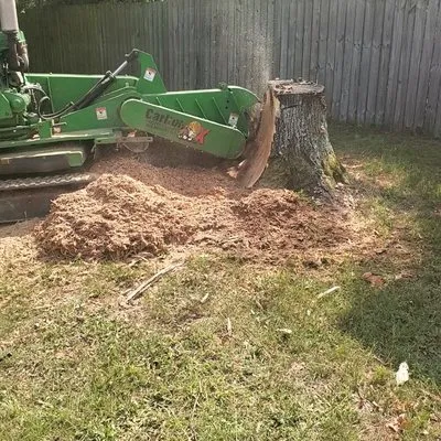 Middle Georgia Stump Grinding Logo