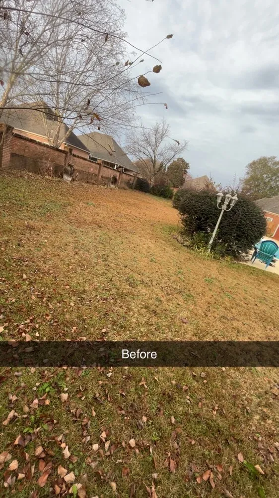 Trusted landscape installation for beautiful yards in Macon, GA by Middle Georgias Yard Barber