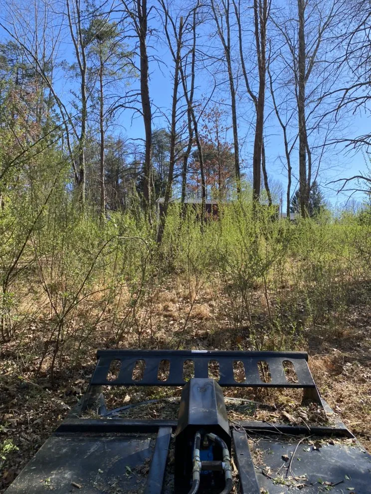 Reliable yard cleanup service for homes in Staunton, VA by Middle River Tree Work And Landscape