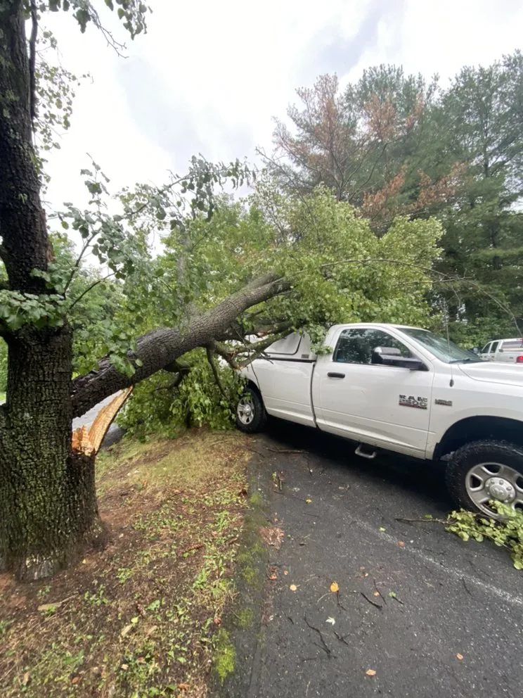 Local landscaping services for outdoor upgrades in Staunton, VA by Middle River Tree Work And Landscape