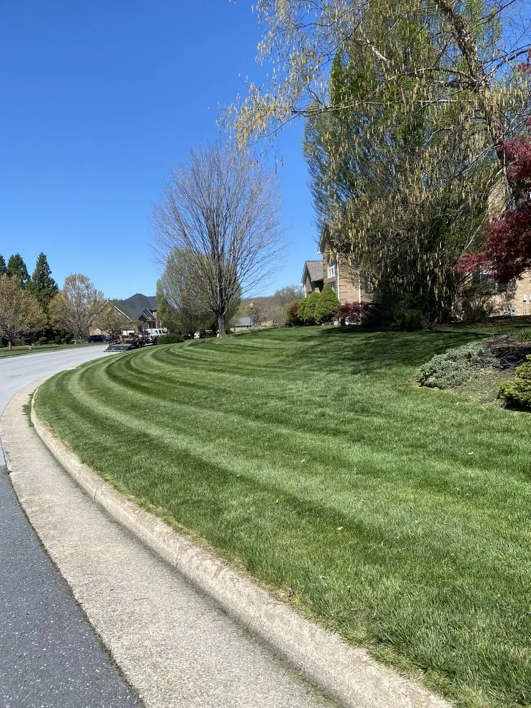 Trusted yard maintenance in Staunton, VA by Middle River Tree Work And Landscape