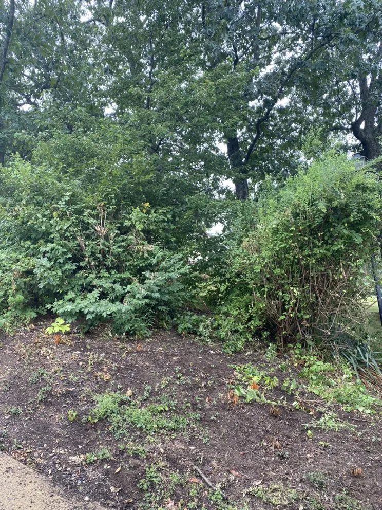 Expert lawn mowing service in Staunton, VA - Middle River Tree Work And Landscape