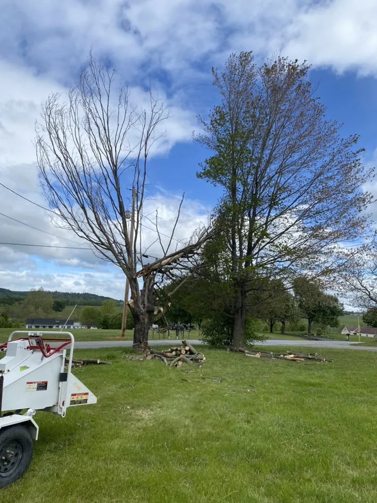 Expert residential landscaping in Staunton, VA by Middle River Tree Work And Landscape