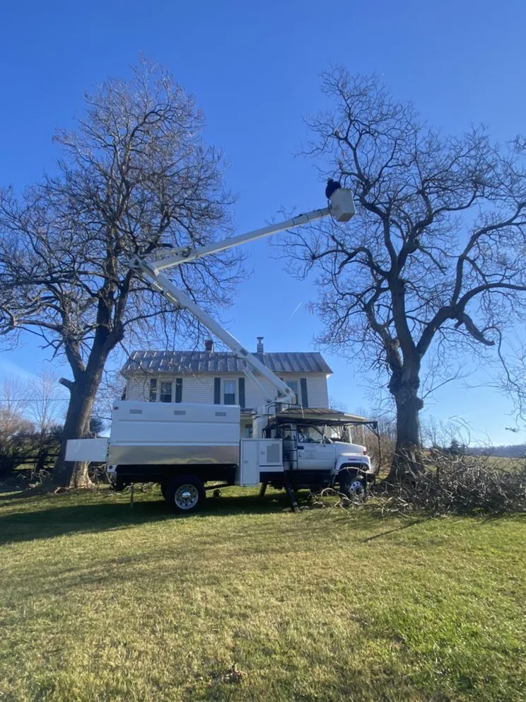 Trusted outdoor landscaping near you in Staunton, VA by Middle River Tree Work And Landscape