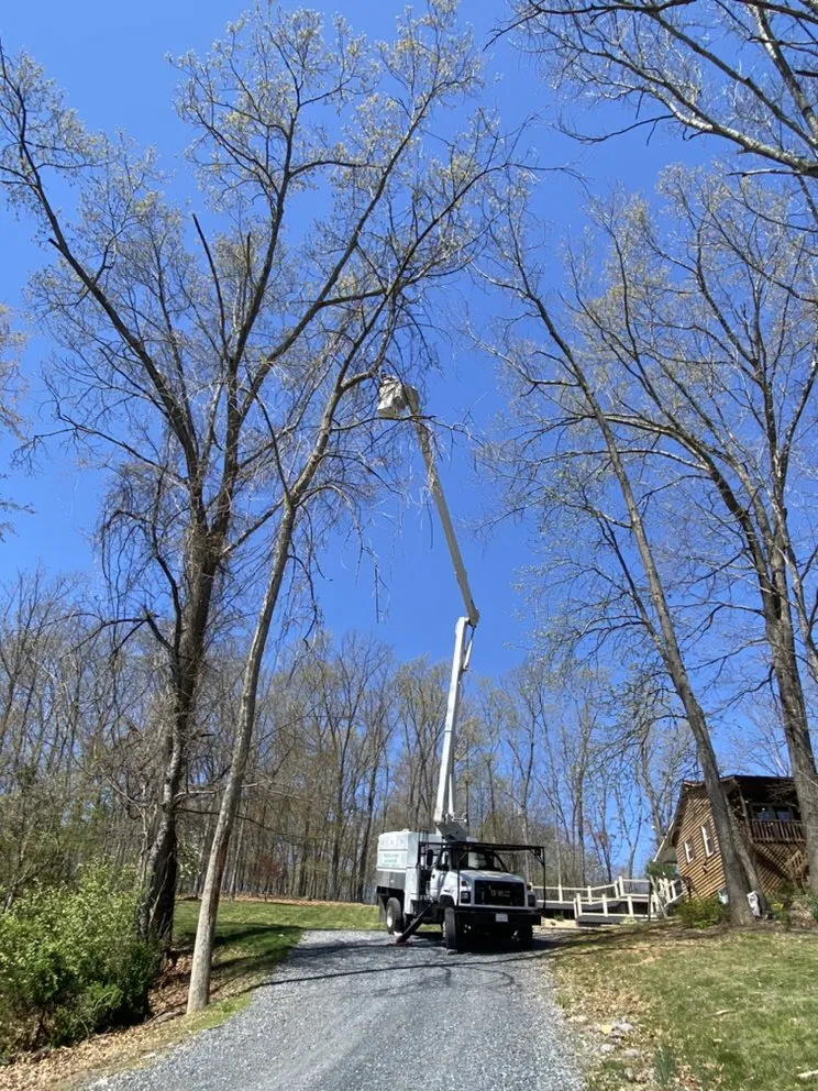 Reliable lawn mowing service in Staunton, VA - Middle River Tree Work And Landscape