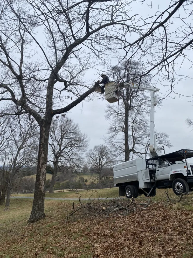 Trusted yard cleanup service for outdoor upgrades in Staunton, VA by Middle River Tree Work And Landscape