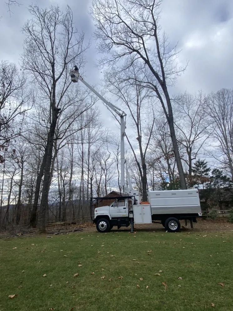 Professional outdoor landscaping in Staunton, VA by Middle River Tree Work And Landscape