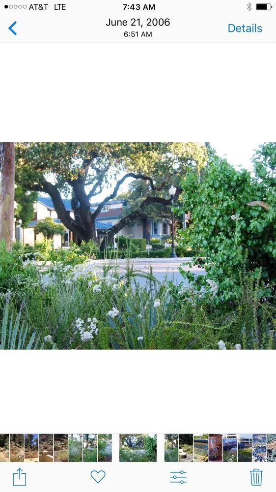 Professional landscape installation in San Jose, CA by Middlebrook Gardens