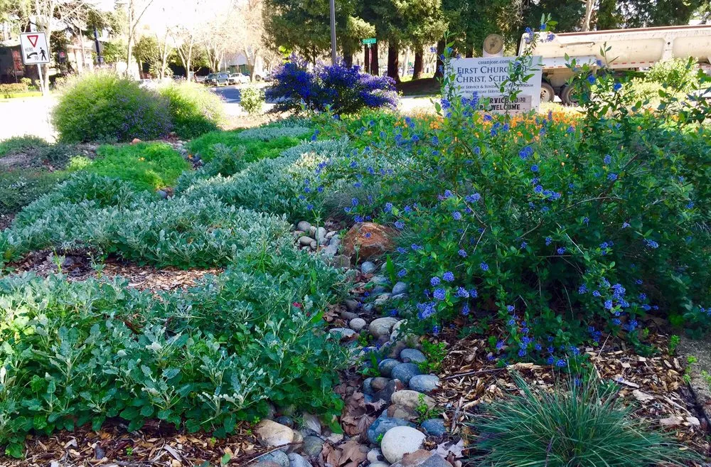 Trusted landscape design in San Jose, CA by Middlebrook Gardens