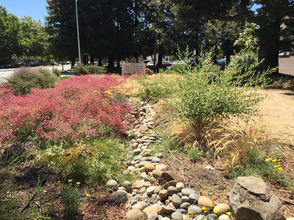 Affordable landscaping services in San Jose, CA - Middlebrook Gardens