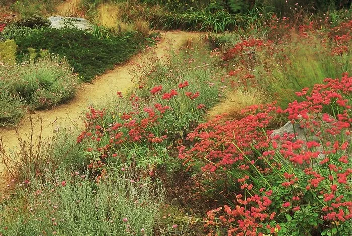 Custom garden landscaping experts serving San Jose, CA - Middlebrook Gardens