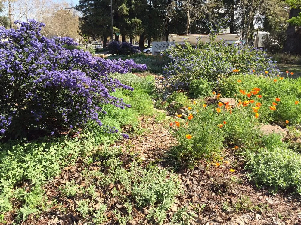 Expert garden landscaping experts serving San Jose, CA - Middlebrook Gardens