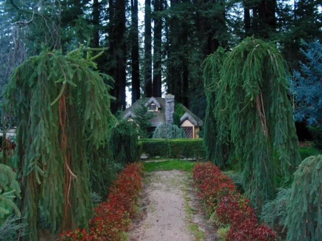 Top-rated landscape installation for residential properties across San Jose, CA - Middlebrook Gardens