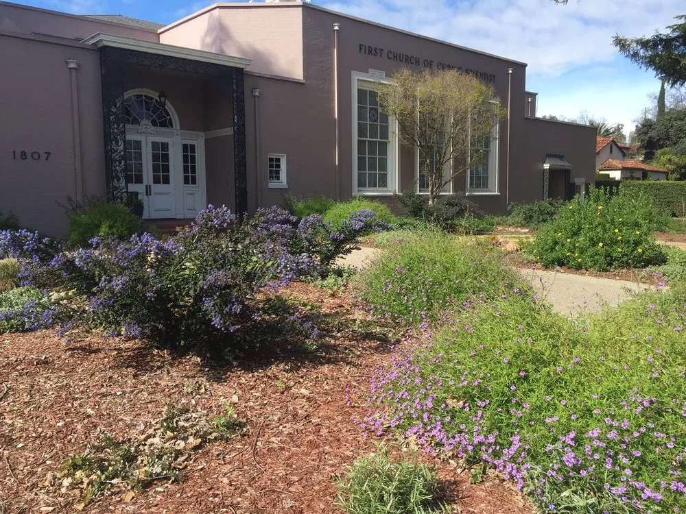 Custom yard maintenance for outdoor upgrades in San Jose, CA by Middlebrook Gardens