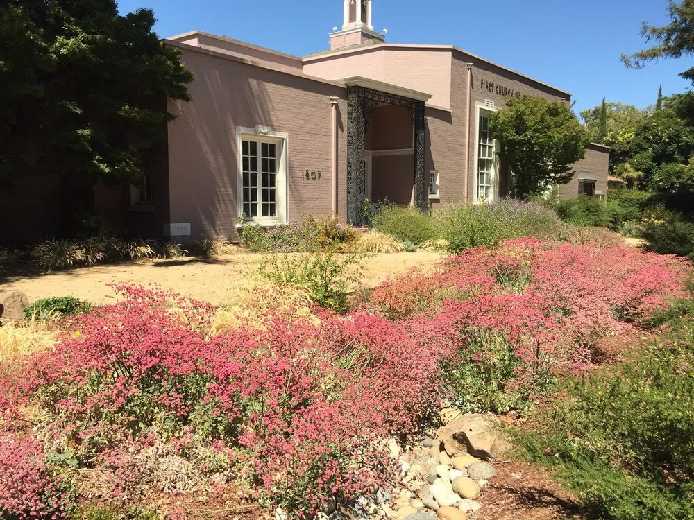 Affordable landscape installation in San Jose, CA by Middlebrook Gardens