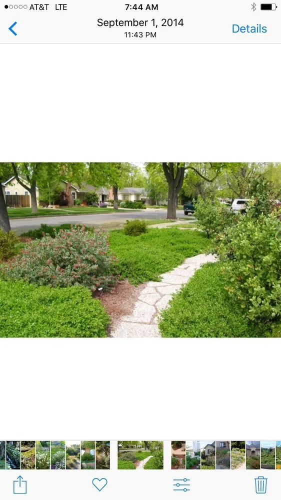 Reliable landscaping services for beautiful yards in San Jose, CA by Middlebrook Gardens