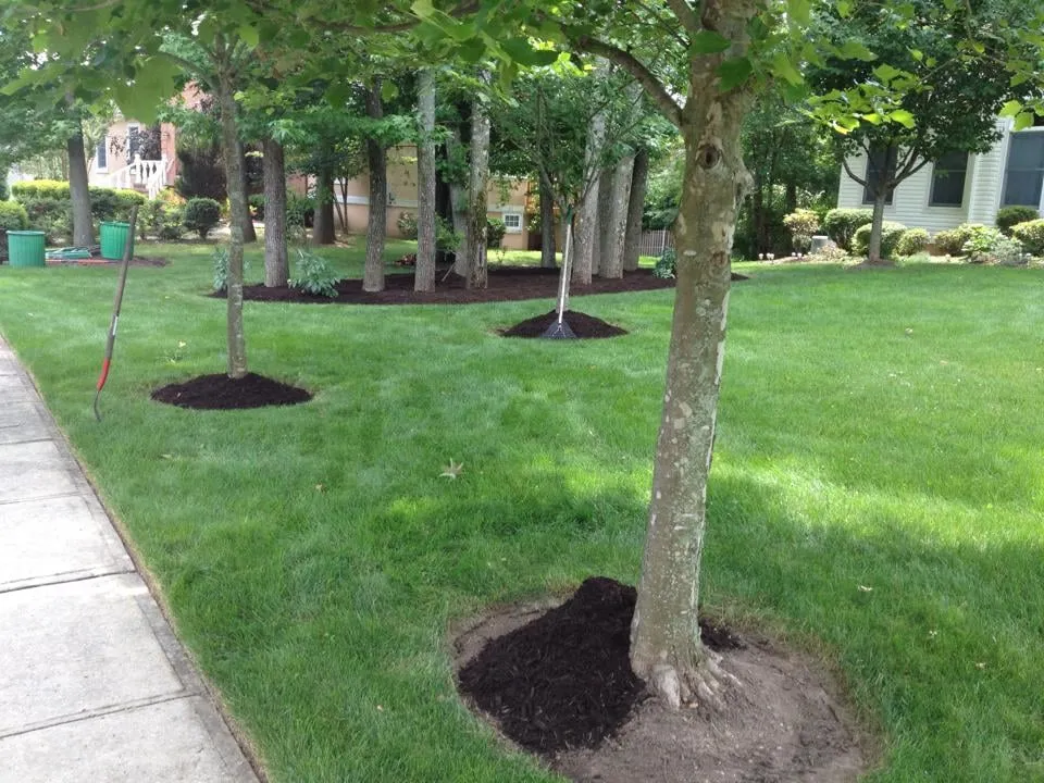 Custom landscaping services in South River, NJ - Middlesex Lawn & Landscaping