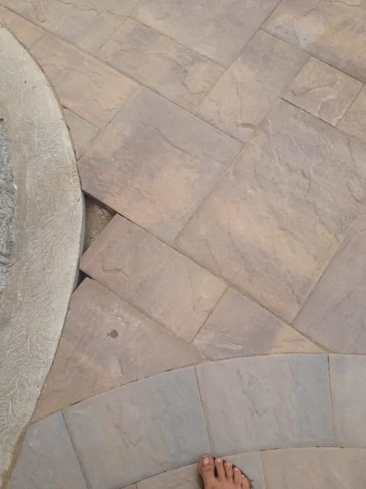 Professional garden landscaping for year-round maintenance in South River, NJ by Middlesex Lawn & Landscaping