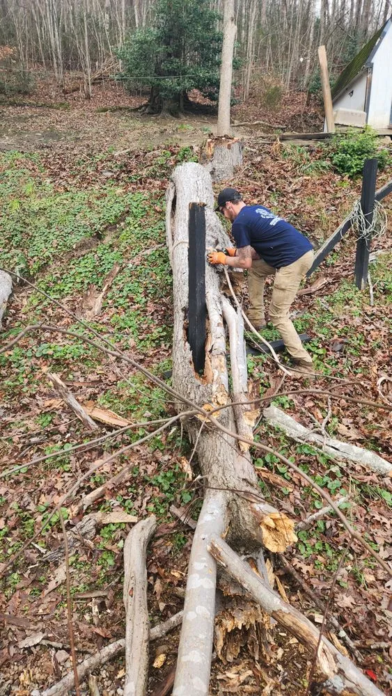 Custom yard cleanup service for year-round maintenance across Harlan, KY - Middleton Farms Lawn Tree and Landscape