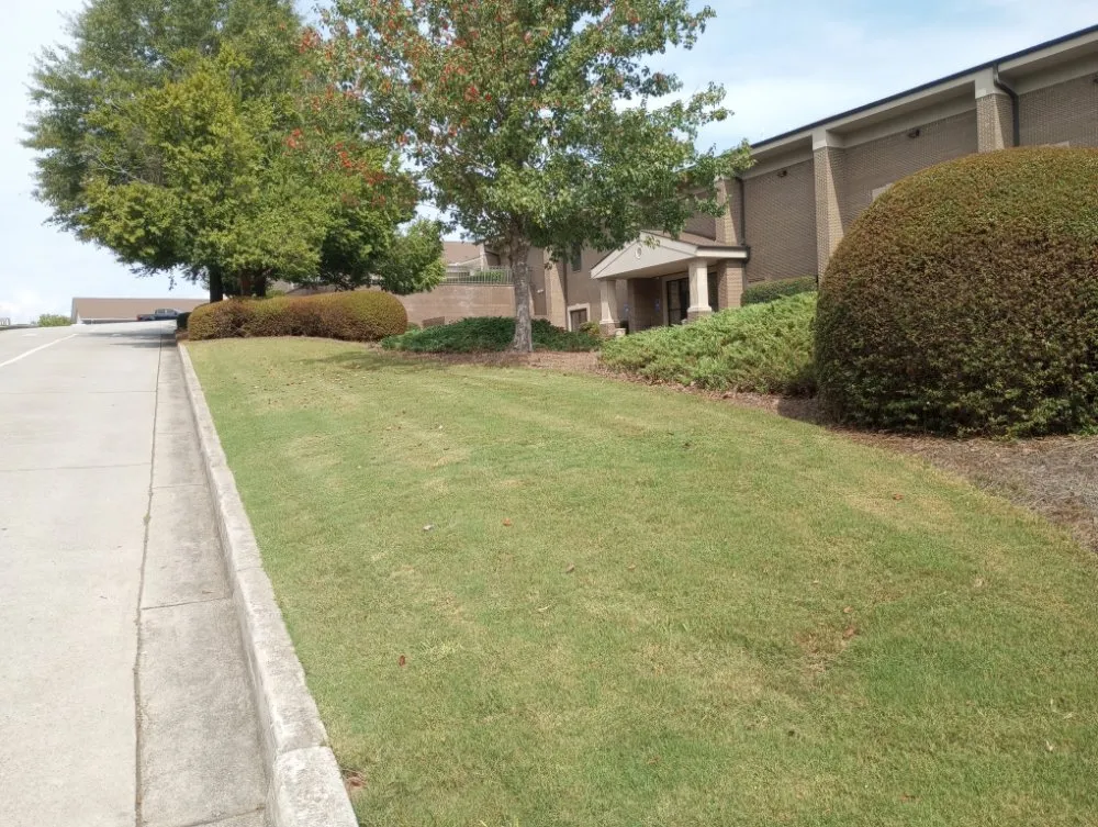 Affordable yard cleanup service experts serving lilburn, GA - Middleton Lawn Services