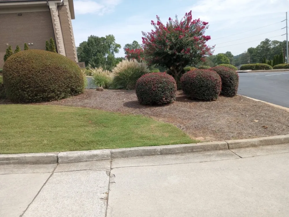 Local landscape design in lilburn, GA - Middleton Lawn Services