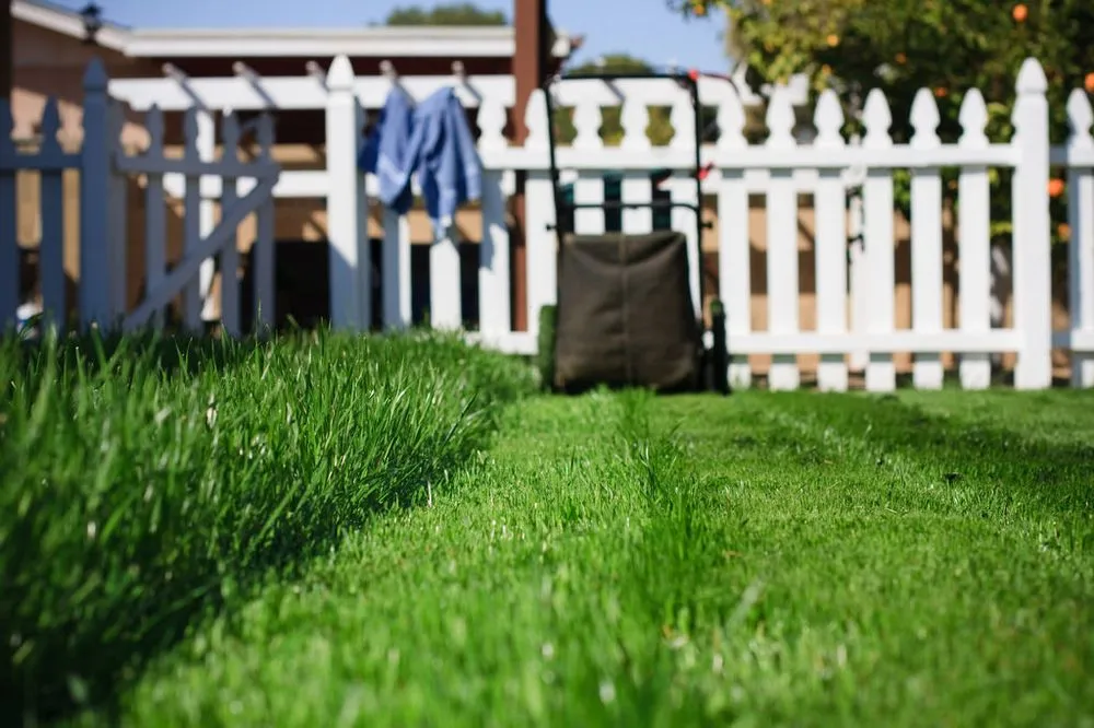 Expert yard cleanup service near you in Middleton, ID by Middleton Mowers