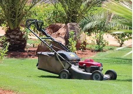 Custom garden landscaping experts serving Middleton, ID - Middleton Mowers