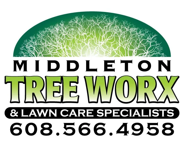 Local yard cleanup service in Waunakee, WI - Middleton Tree Worx & Lawn Care Specialist