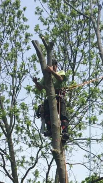 Professional yard cleanup service experts serving Waunakee, WI - Middleton Tree Worx & Lawn Care Specialist