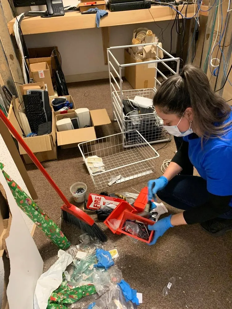 Trusted landscaping services for year-round maintenance in Eugene, OR by Middleton's Enterprises