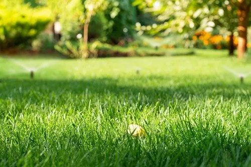 Custom landscape installation in Middletown Township, NJ - Middletown Landscaping