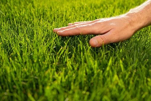 Top-rated yard maintenance for year-round maintenance in Middletown Township, NJ by Middletown Landscaping