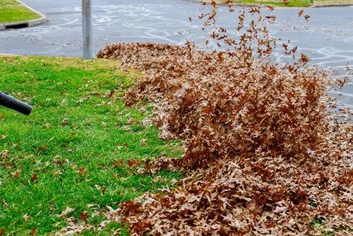 Expert residential landscaping experts serving Middletown Township, NJ - Middletown Landscaping