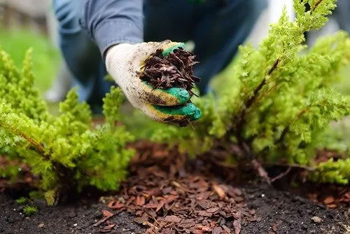 Expert garden landscaping experts serving Middletown Township, NJ - Middletown Landscaping