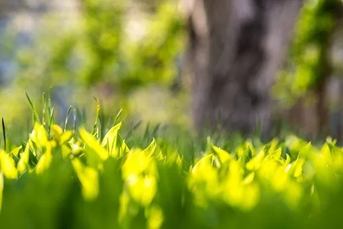 Local residential landscaping in Middletown Township, NJ by Middletown Landscaping