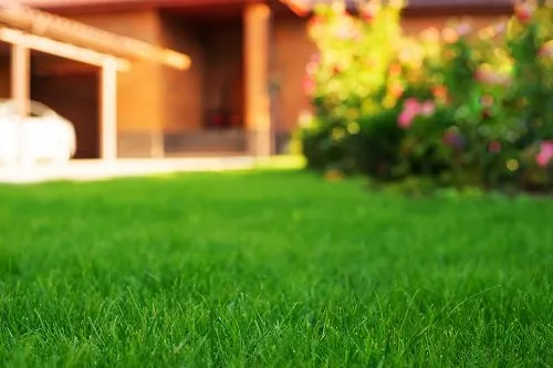 Local yard maintenance in Middletown Township, NJ by Middletown Landscaping