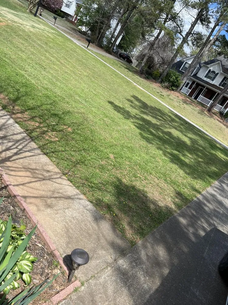 Expert lawn care service experts serving Flowery Branch, GA - Midgard Landscaping