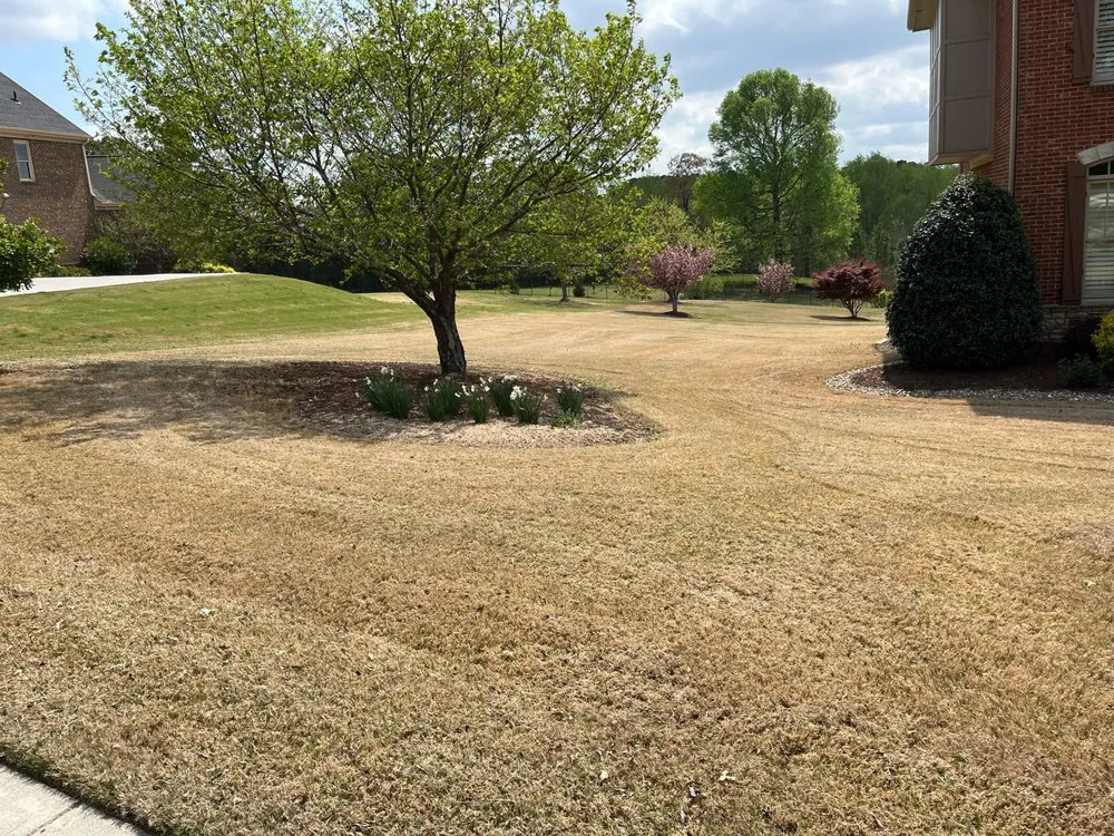 Trusted garden landscaping experts serving Flowery Branch, GA - Midgard Landscaping